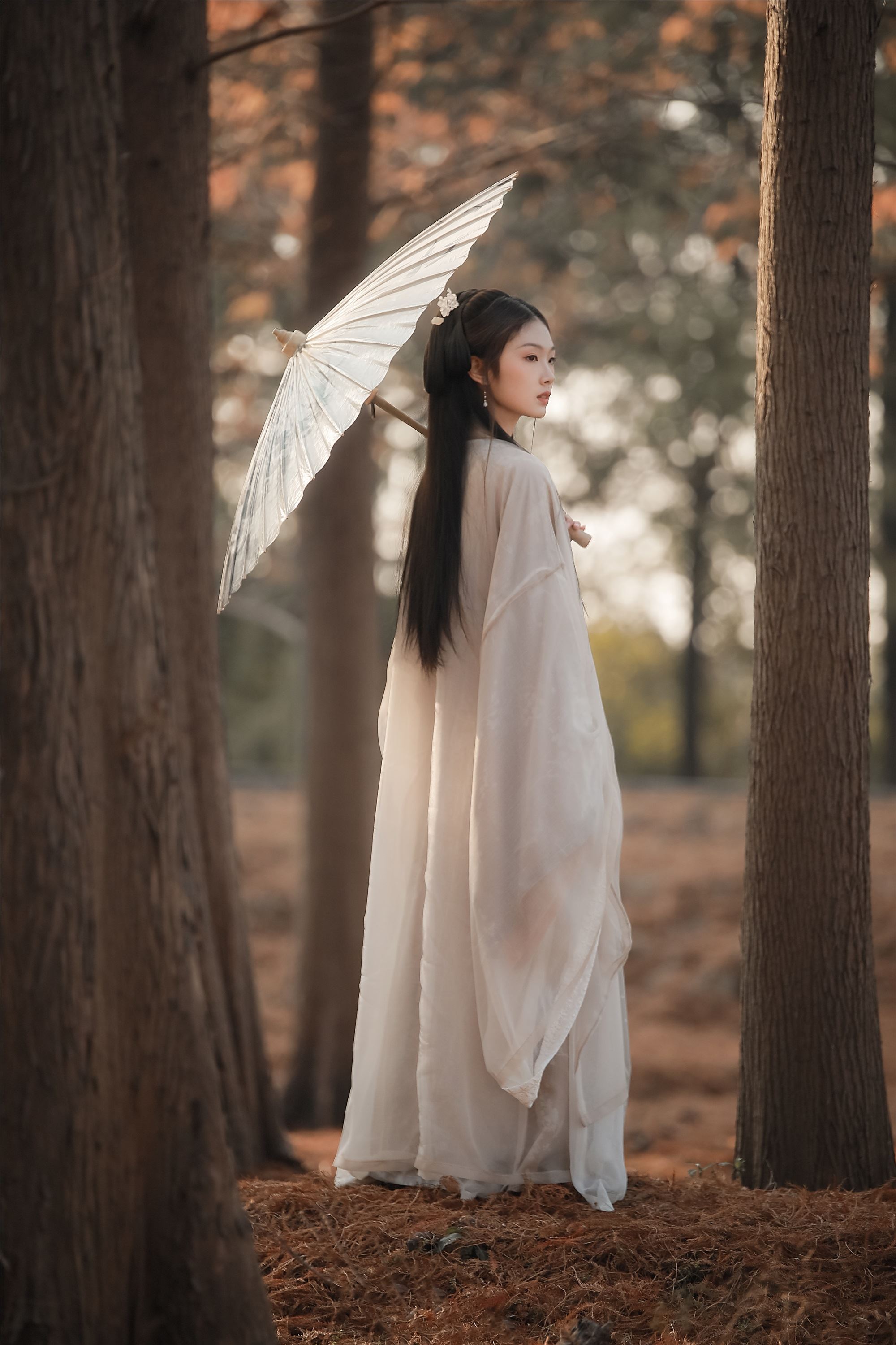 YITUYU艺图语 2025.01.28 叹秋 溱溱